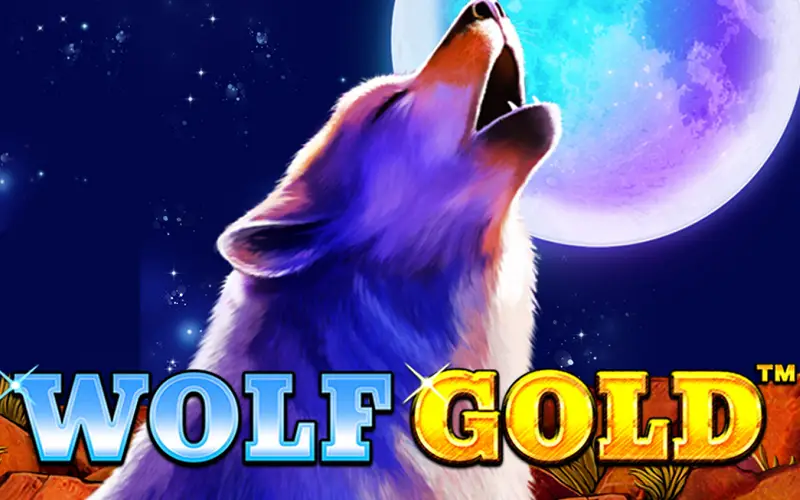 Prueba la tragamonedas Wolf Gold en Betfun para ganar increíbles botes.